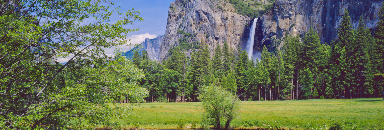 666b1306-3a90-4955-a784-78a516941ad2