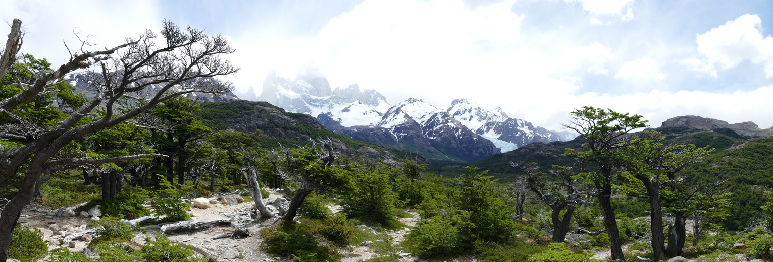 40b9f6da-7461-4d21-8a48-927f698c3def