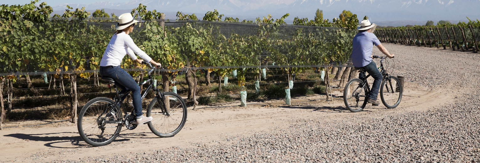 2f80345e-a5ff-42dc-abb6-42e0a99ff97e