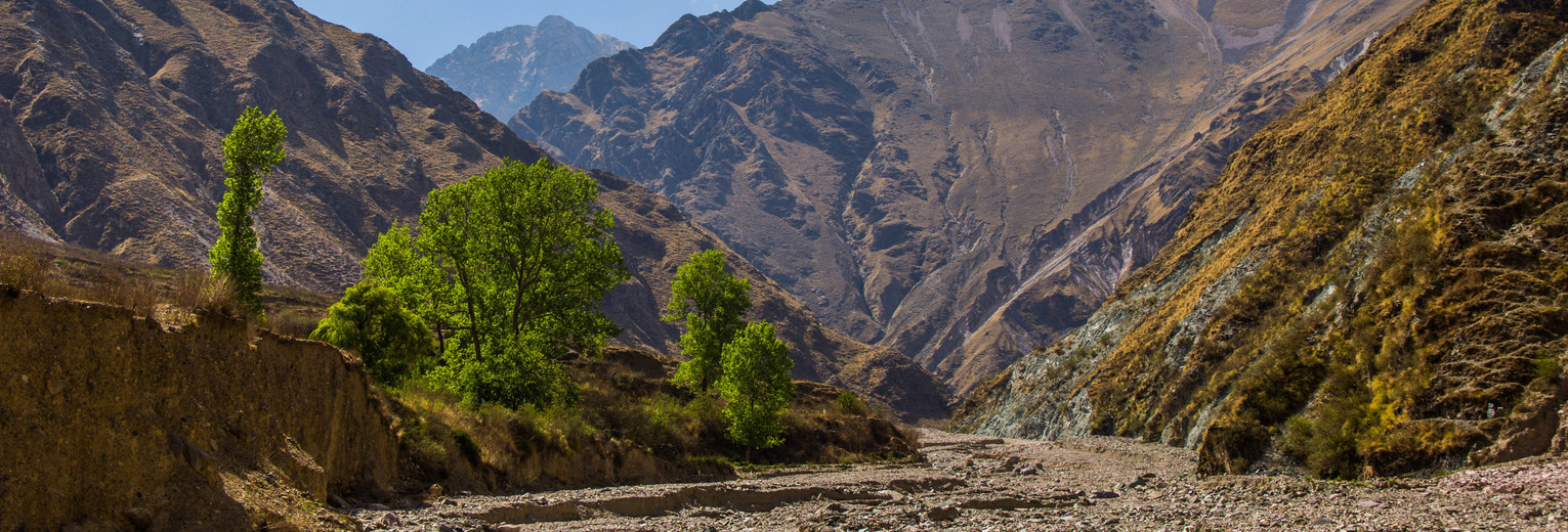 fe83069b-a2f5-42fc-8378-bf2718e6d090