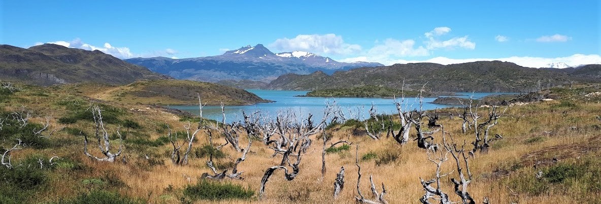 Argentinie-Torres-del-Paine-Natuur_1_429035 Argentinie-Torres-del-Paine-Natuur_1_429035