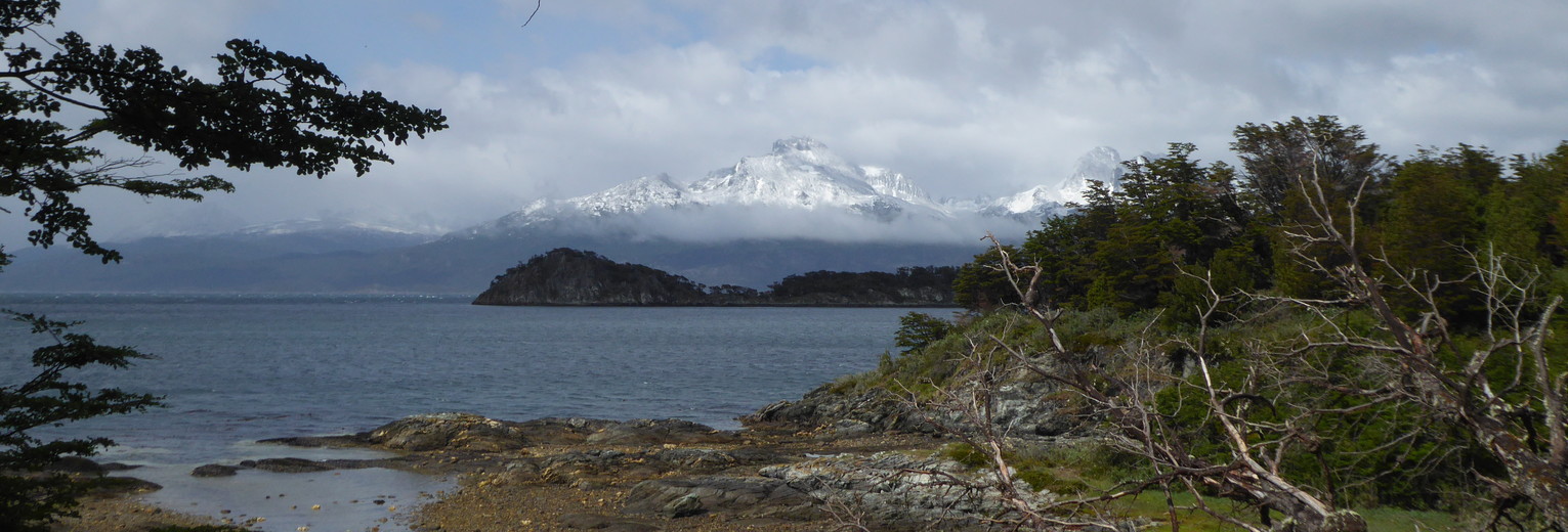 98ba356b-e2c3-47b6-965a-c1455135930c