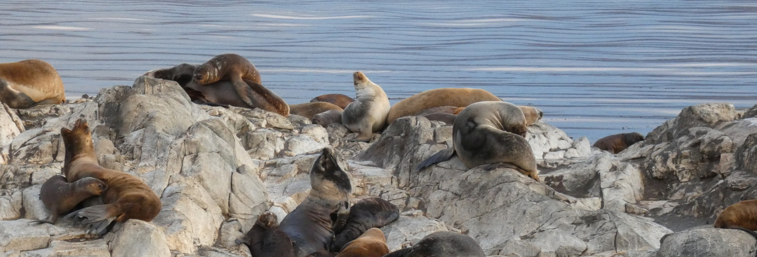 c023ee50-5811-441e-b7f2-1462b91e0ac8