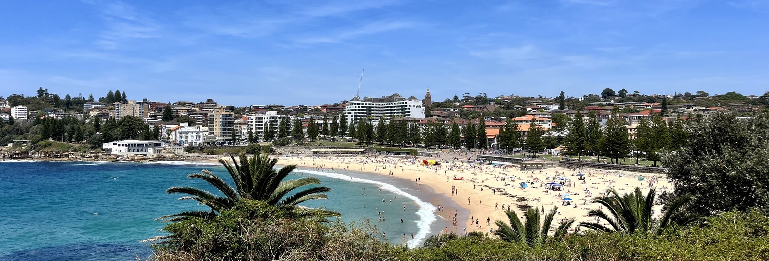 Australië Cooge to bondi walk strand met het blauwe water en palmbomen