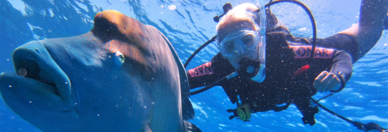 Van Verre medewerkster Lisanne aan het duiken in het Great Barrier Reef, Australië
