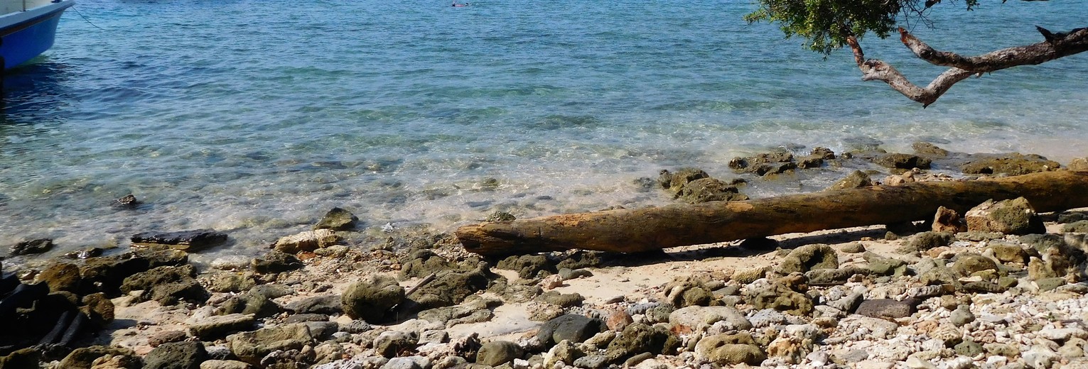 Het eiland Menjangan op Bali