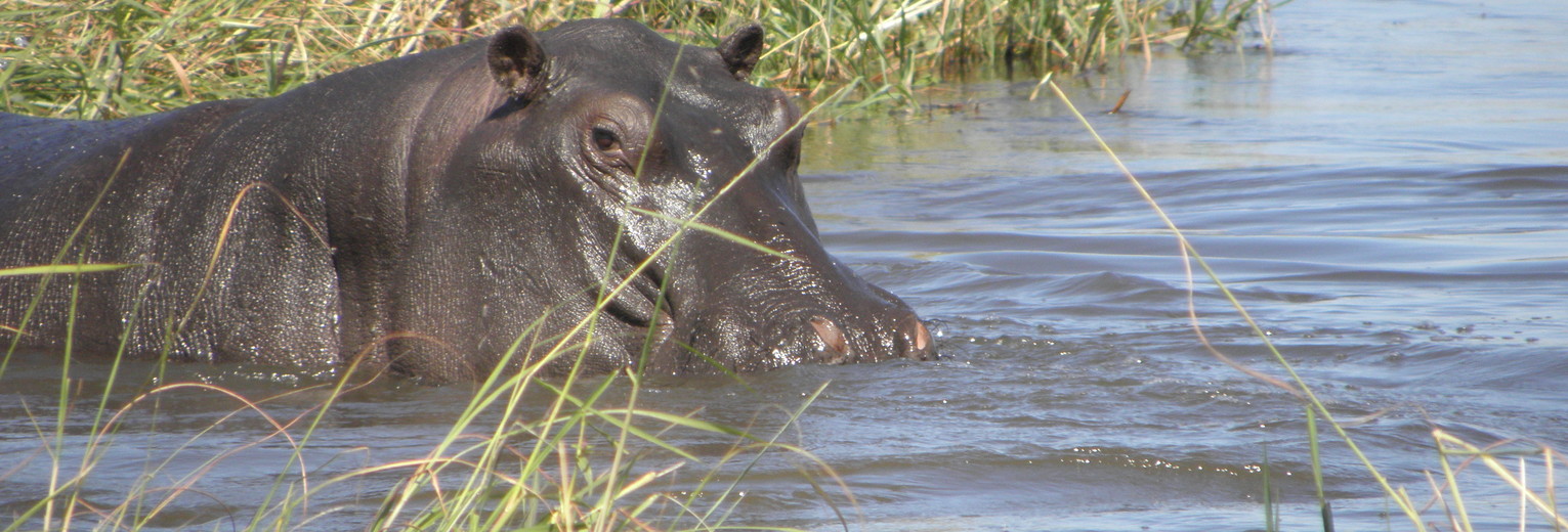 b03713ca-3d1e-433b-abfe-3fc27acebb00