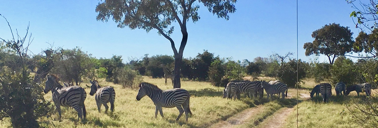 1c4f4644-fe9b-4595-a222-5b1b6799d3e6