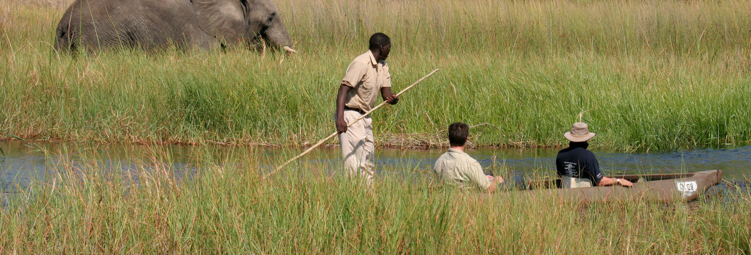 Botswana-Moremi-Wildlife-Reserve13