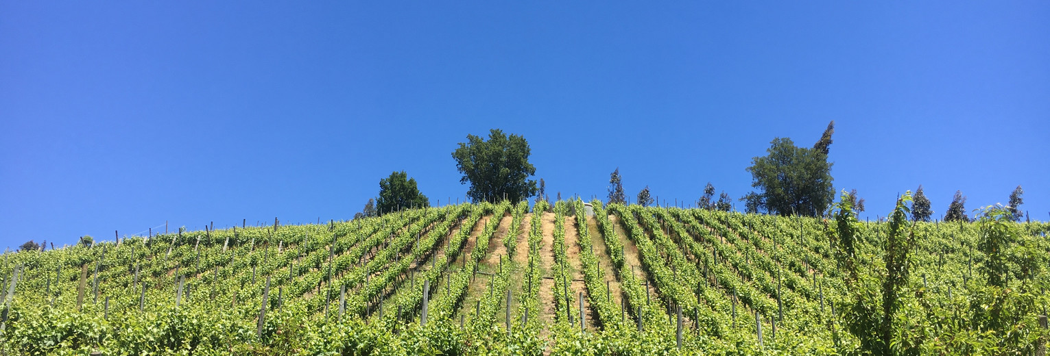 e284dcfb-9574-46d2-a751-c3735fa44fa4