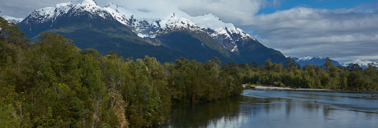 dccc4b5e-72c4-43d5-bd0f-6be930d65146