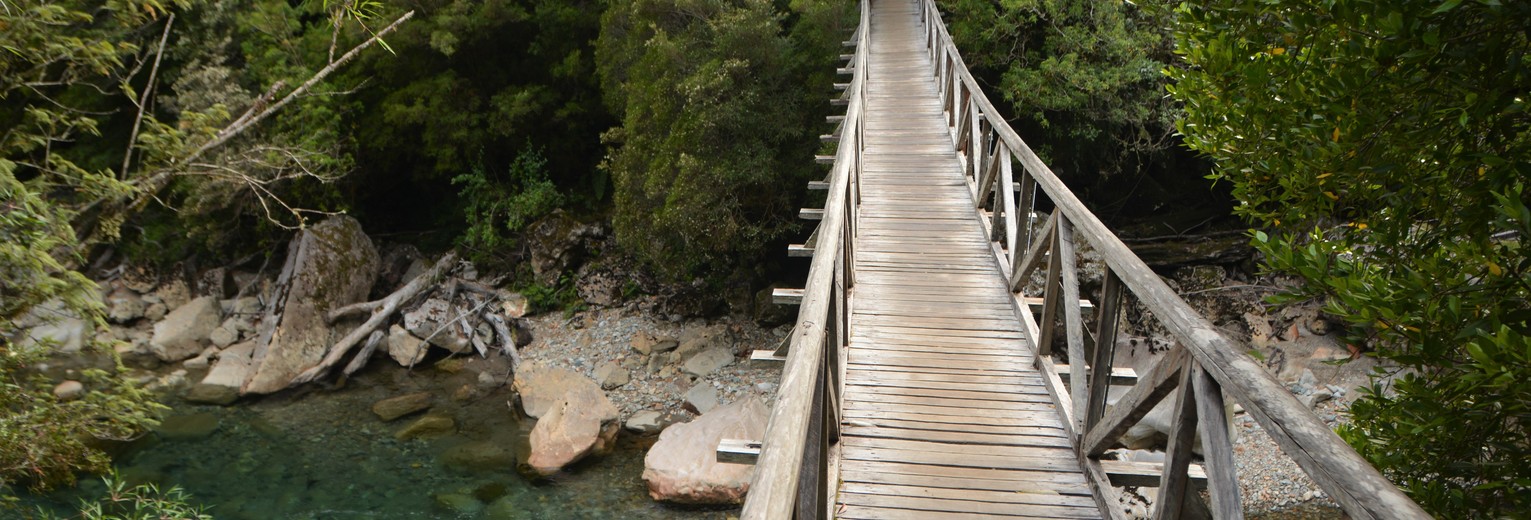 Chili-Pumalin-National-Park_1_429957