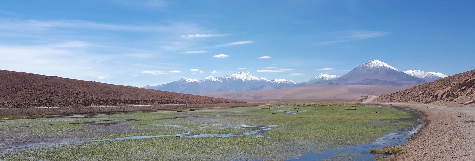 9691e38f-2943-4360-8390-b2dd6d9e2e44