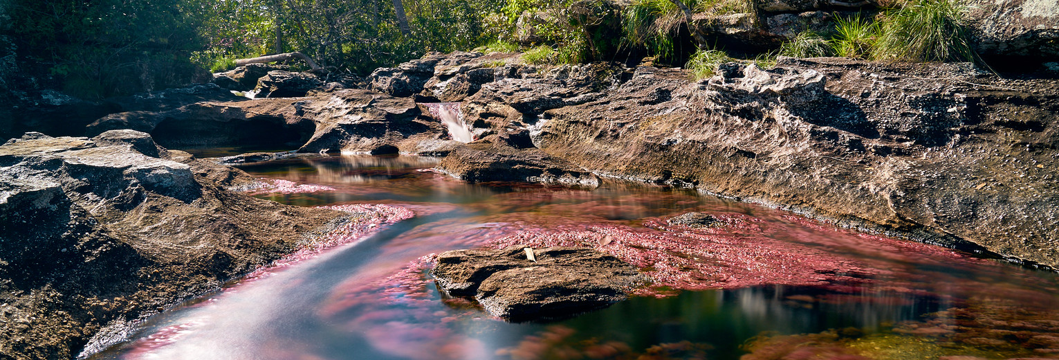 Colombia-Cano-Cristales-Kleurrijk