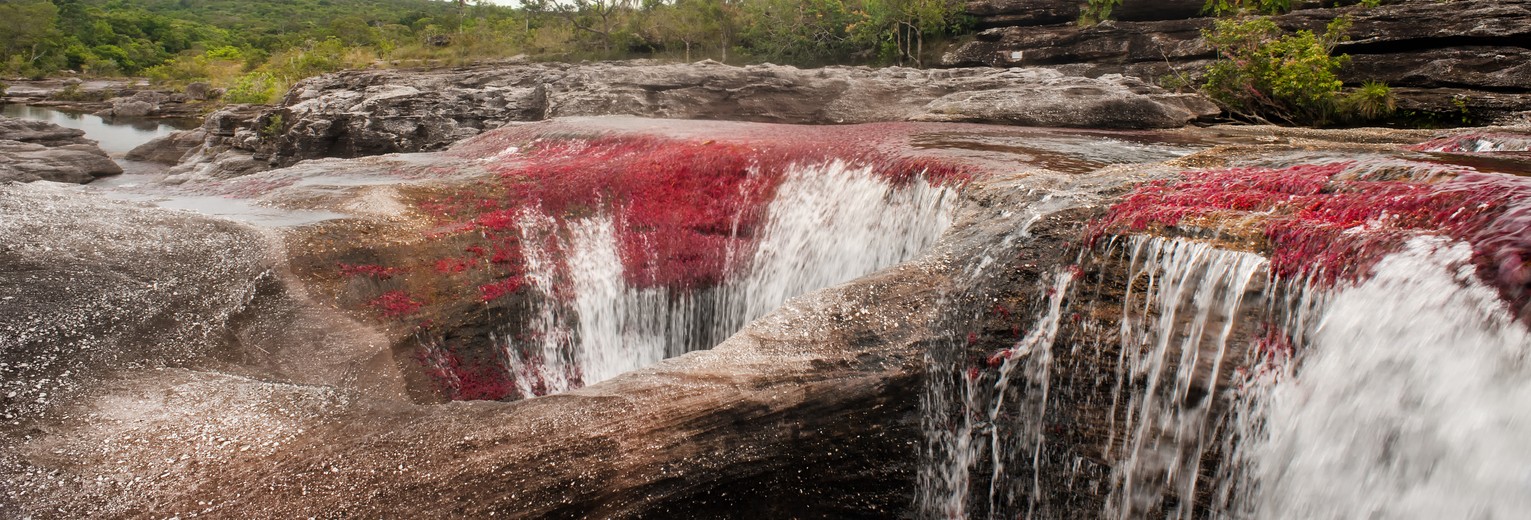 Colombia-Cano-Cristales-kleurrijke-rivier Colombia-Cano-Cristales-kleurrijke-rivier