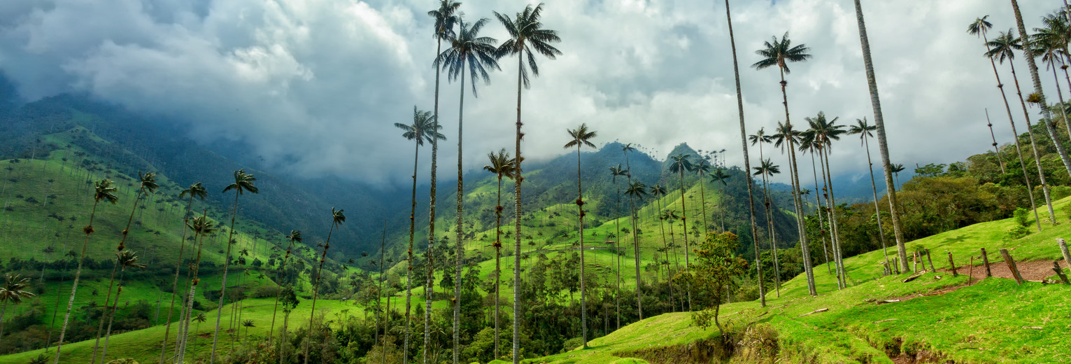 Colombia-Salento-Cocora-Valley_1_480866