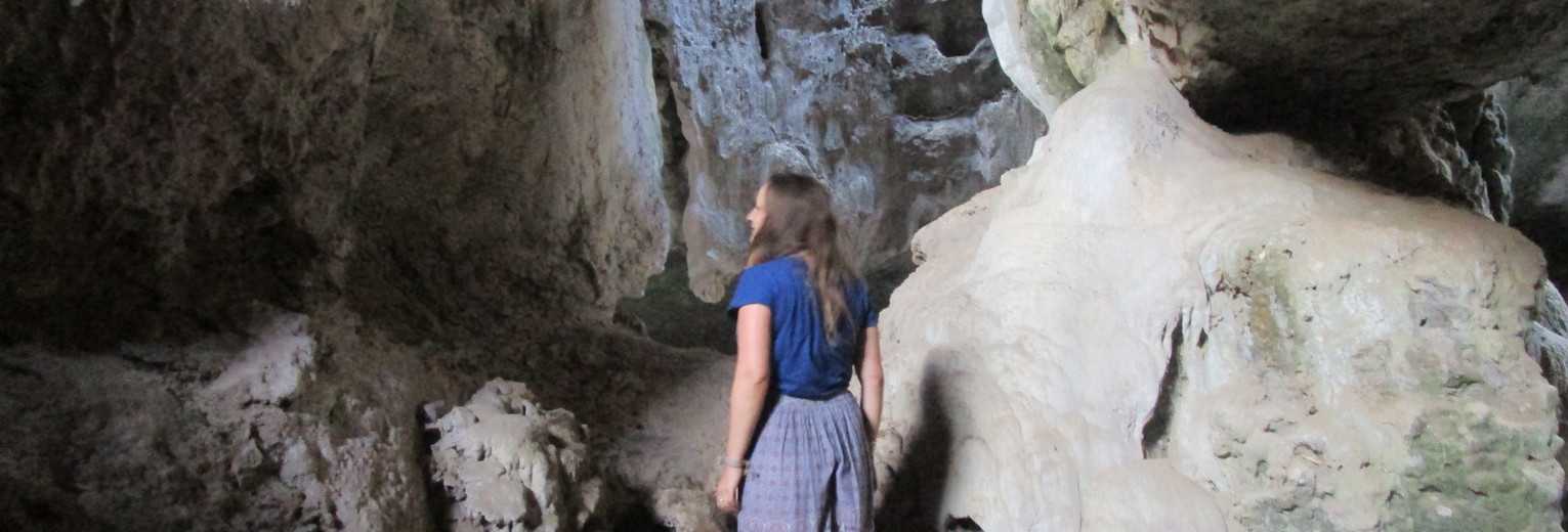 84bbbcdd-614d-46d3-989c-8069ffacf67e