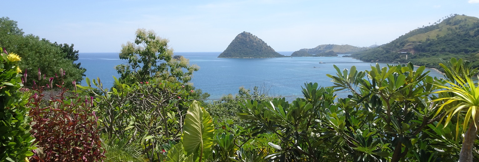 Flores-LabuanBajo-uitzicht_1_294062