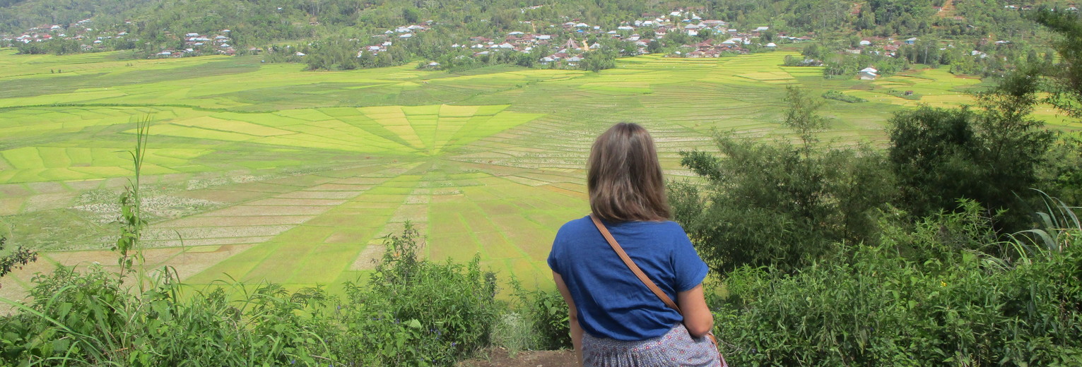 Sophia bij het spinnenweb van rijstvelden bij Riung