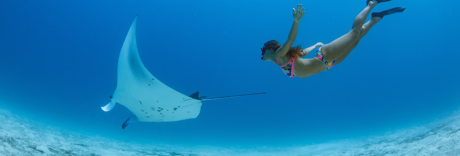 Oog in oog met een mantaroggen tijdens het snorkelen bij Nusa Penida, Bali, Indonesië