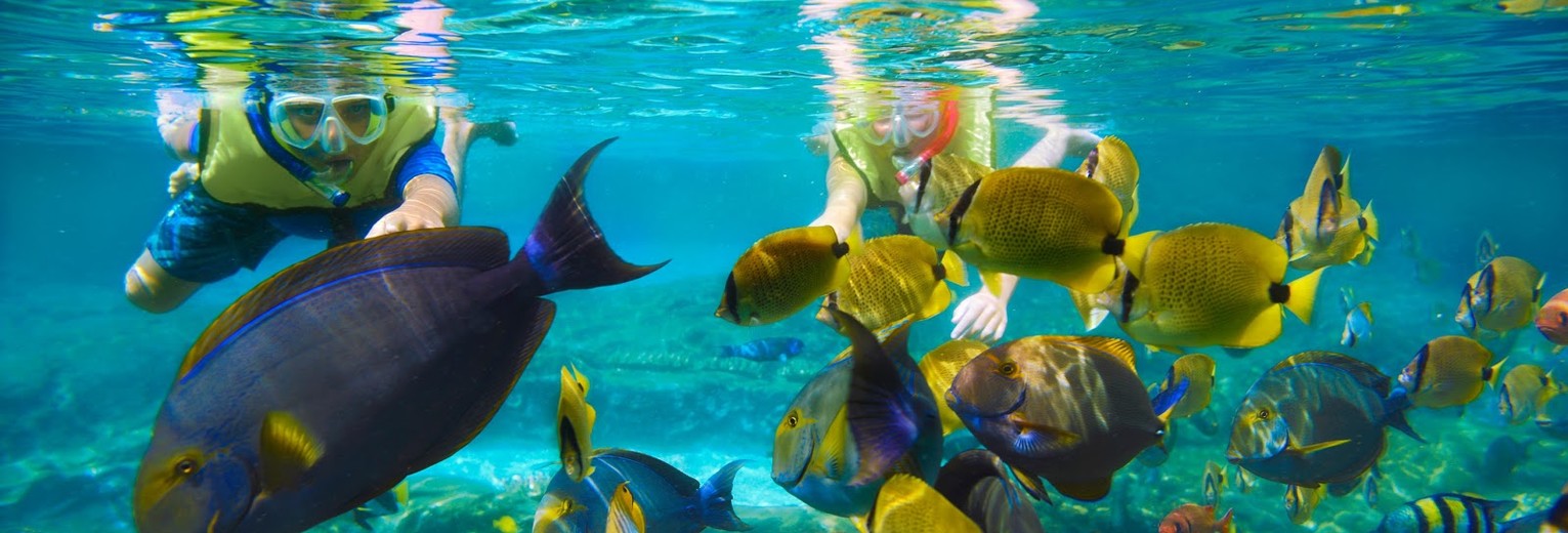 248132f4-4b15-4fde-b574-460d2b93b20a