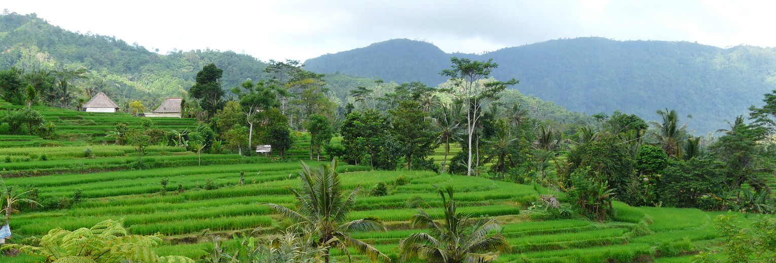 Indonesie-Bali-Sidemen-landschap3(13)