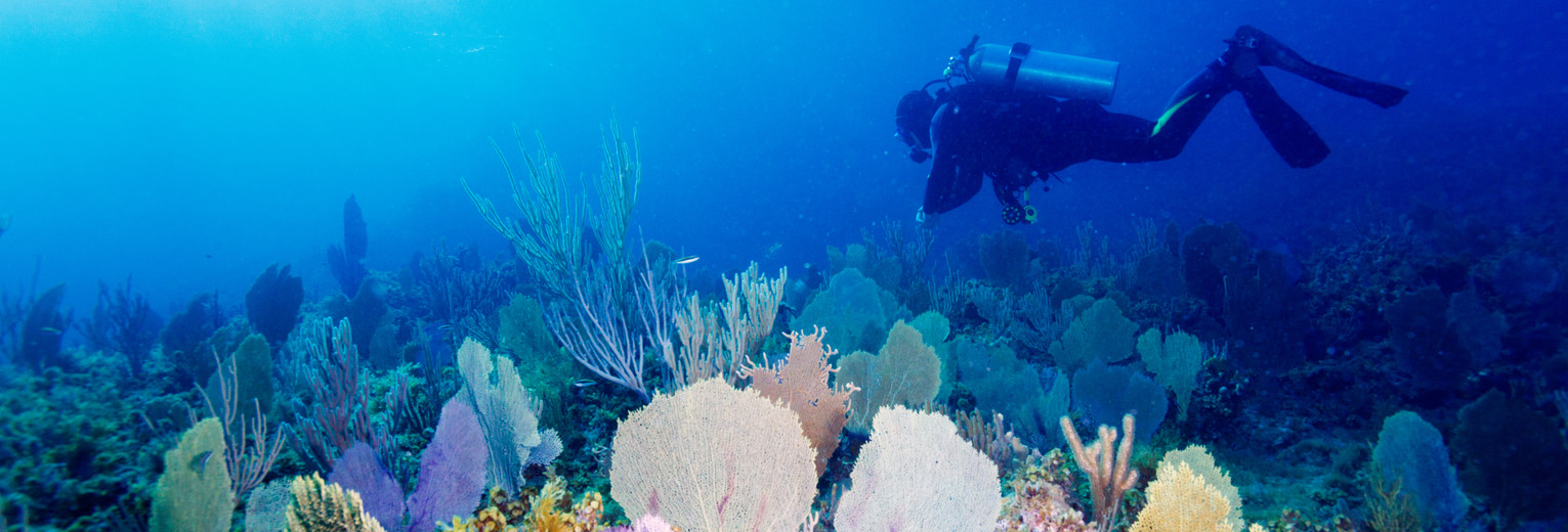 Indonesie-Lombok-onderwater56(13)