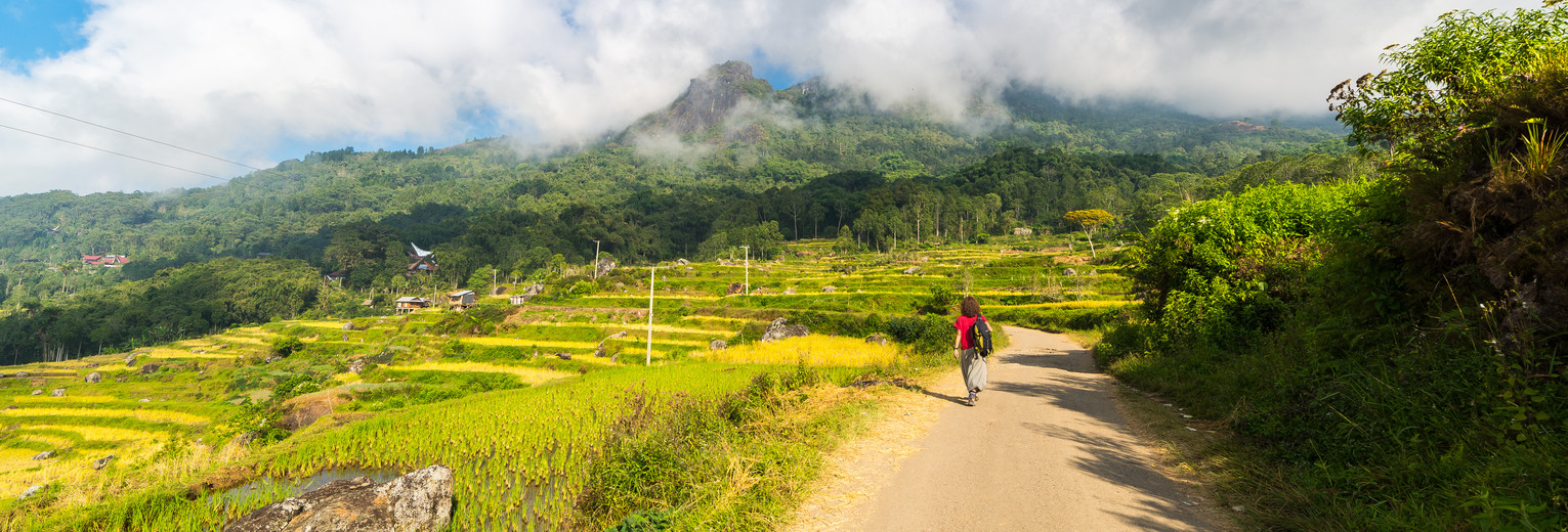 Indonesie-Sulawesi-Toraja-landschap-trekker_1