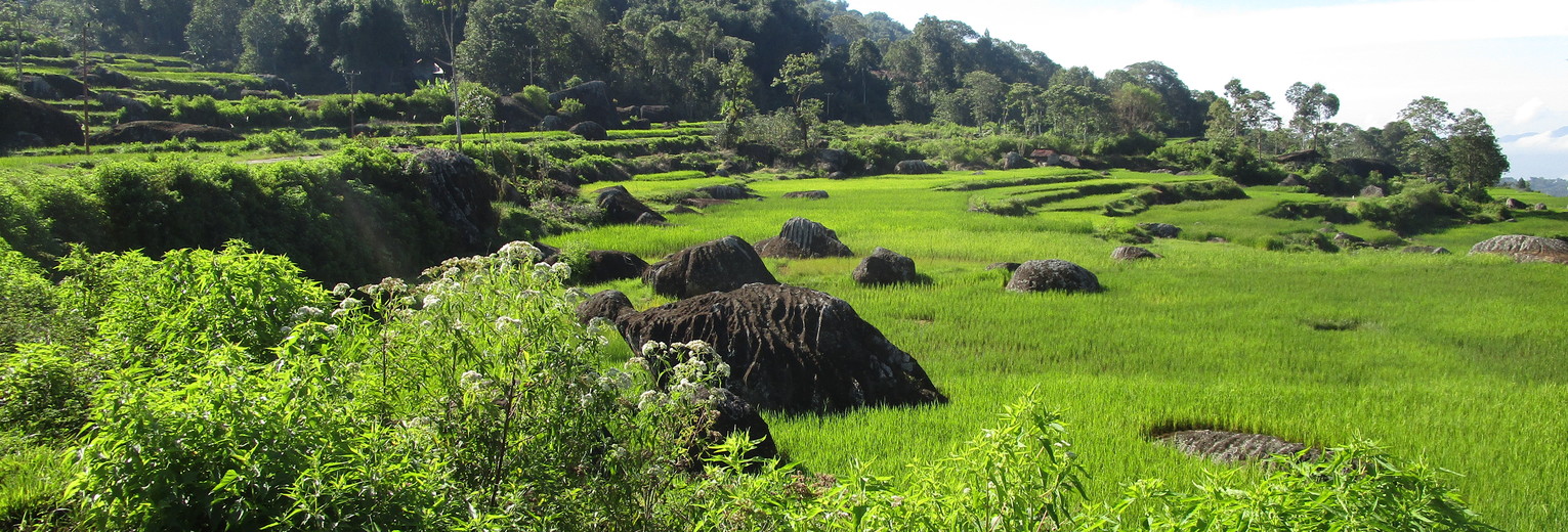 Indonesie-Sulawesi-Torajaland-uitzicht_1_465109