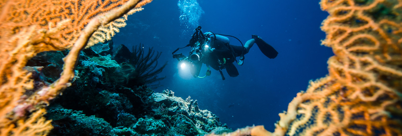 Indonesie-duiker-oostelijk-indonesie(13)