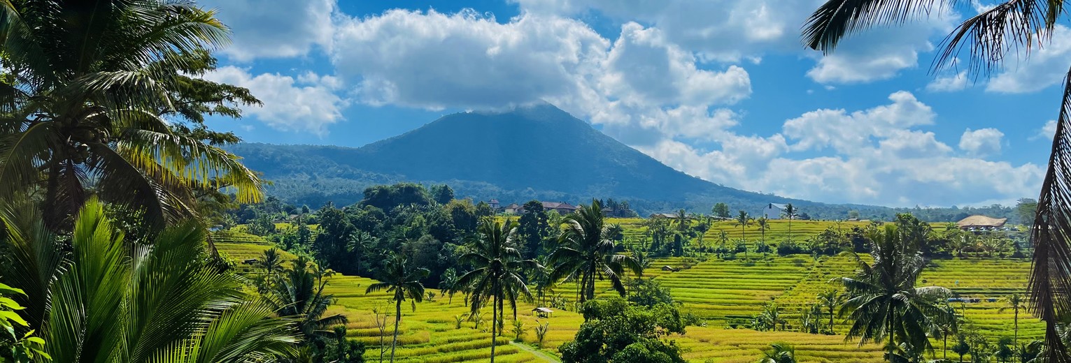 Prachtige rijstvelden van Jatiluwih bewonderen op Bali