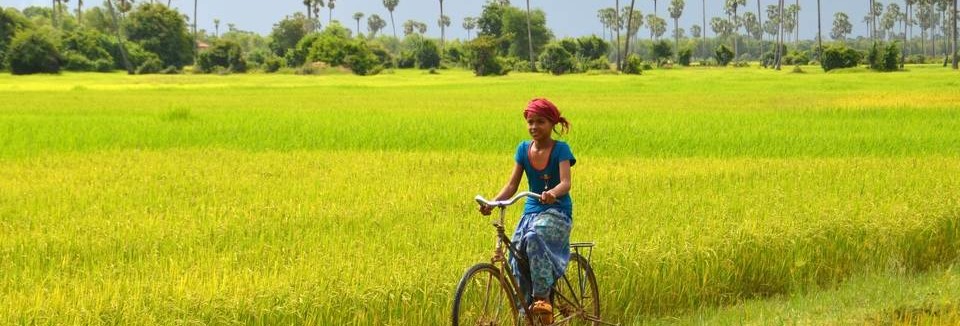 Local die fietst in Cambodja