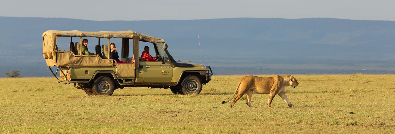 Spot wilde dieren in de Masai Mara National Park, Kenia Spot wilde dieren in de Masai Mara National Park, Kenia