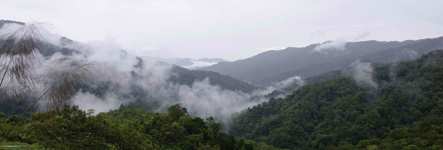 Maleisie-MaleisischBorneo-Sabah-Crocker Range08(13)
