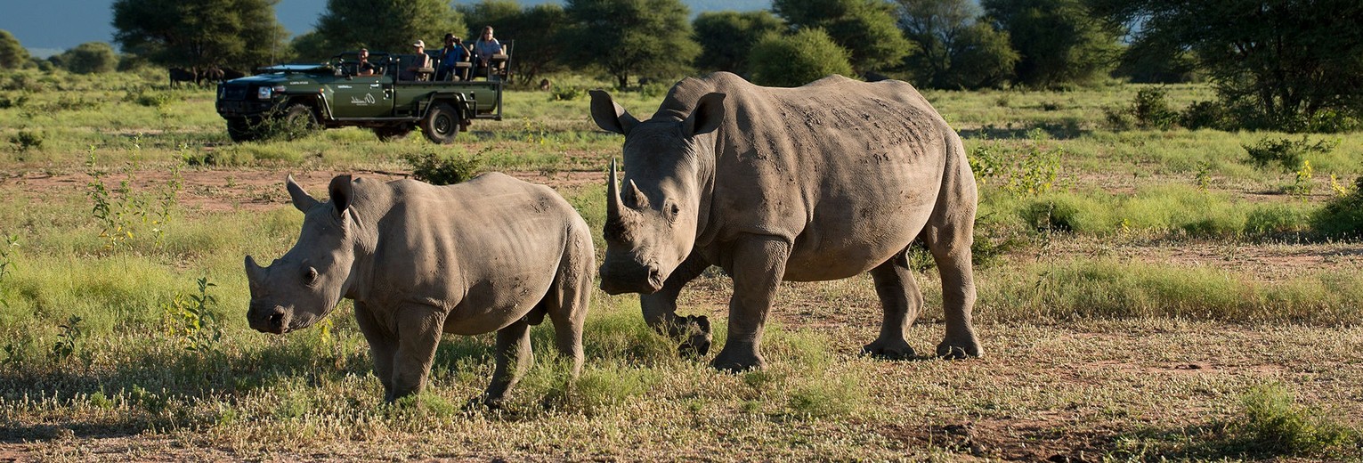 Marakele-National-Park in Zuid-Afrika