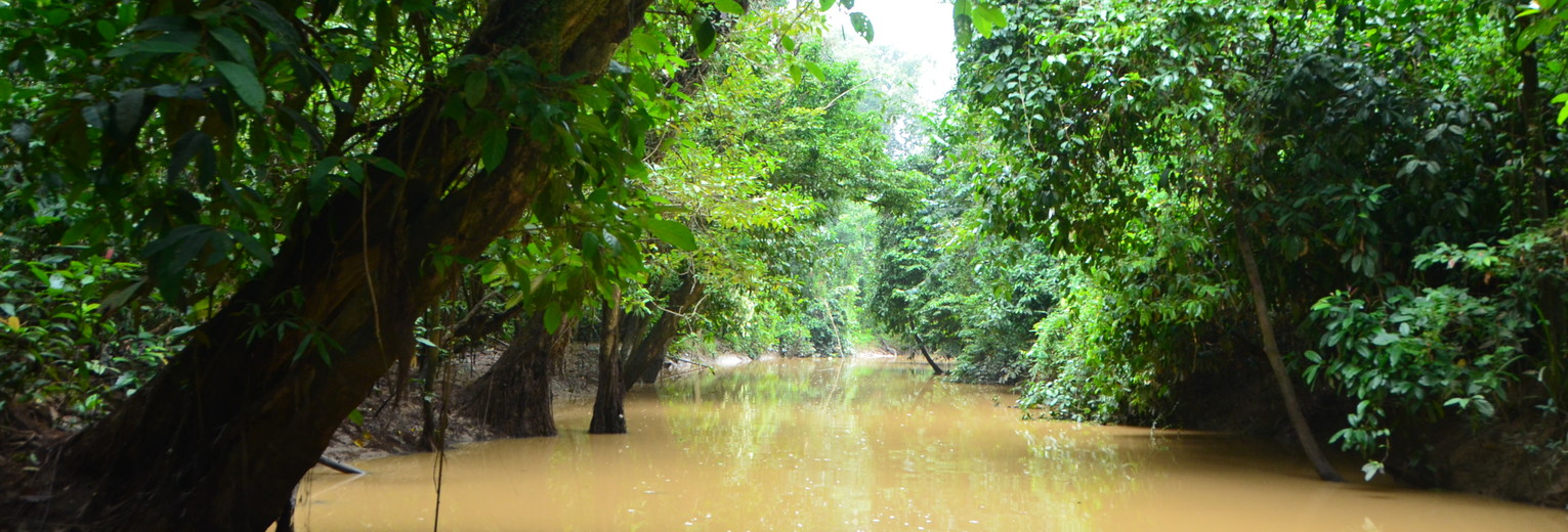 Menunggul-rivier-Sukau(13)