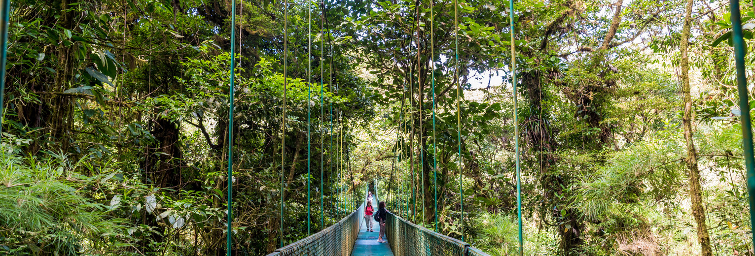 Monteverde-8-hanging-bridge_mini_1_390100