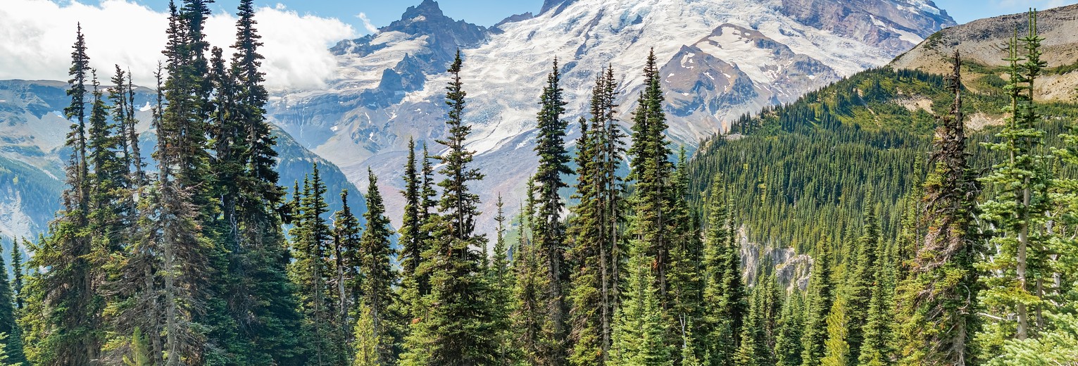 Mount Rainier National Park