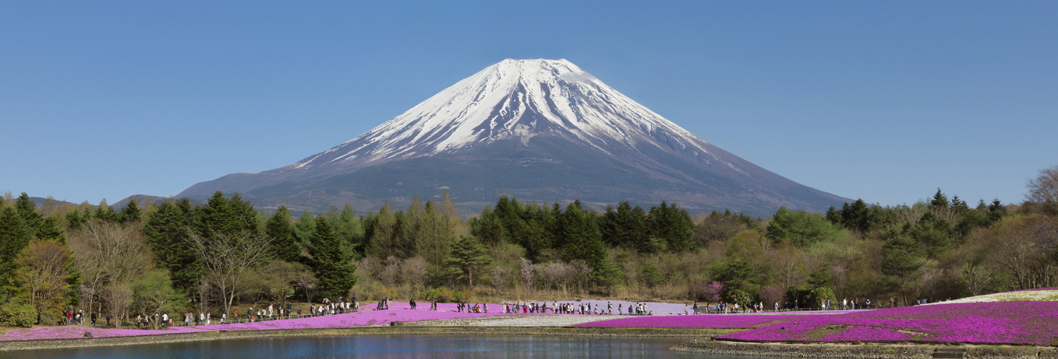 Mount_Fuji_en_omgeving_Honshu_Japan_281229