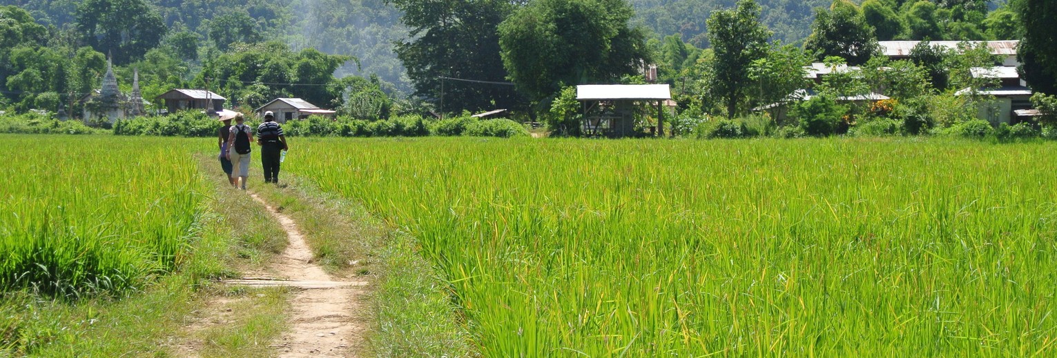 Myanmar-Hsipaw-trek(8)