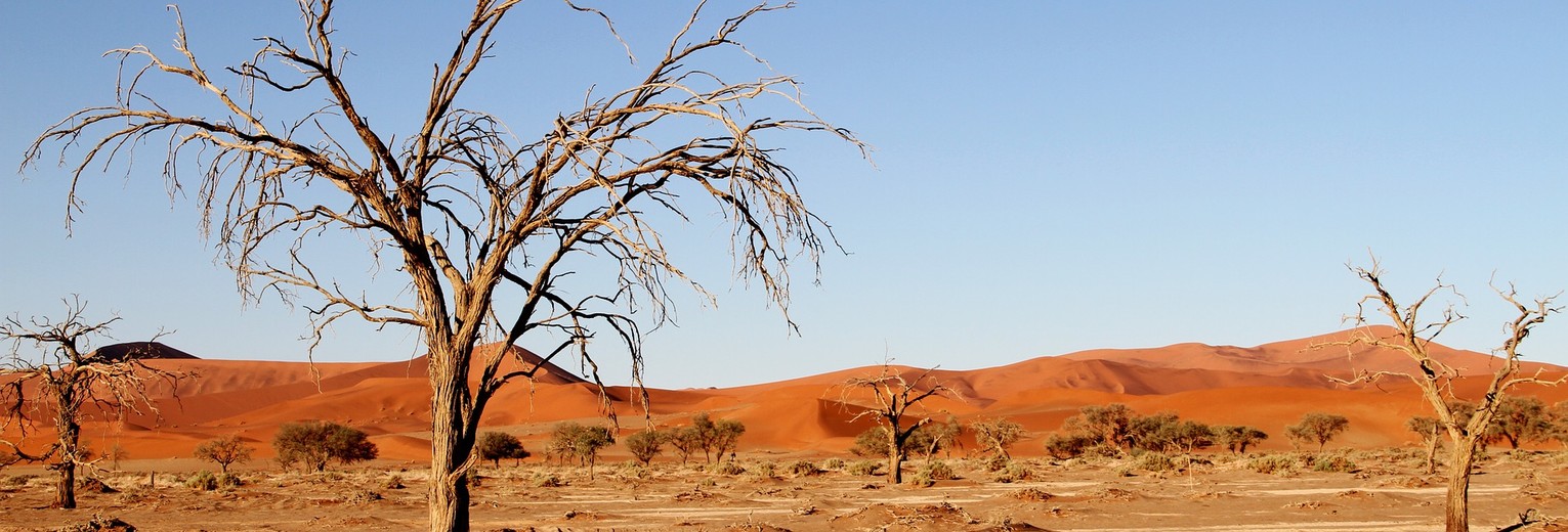 Namibie-Kalahari-Woestijn-1
