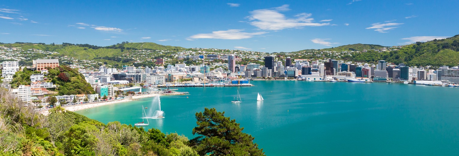 Uitzicht over de stad Wellington, Nieuw-Zeeland