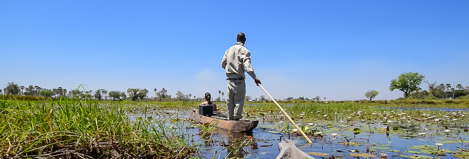 Activiteiten in de ongerepte natuur van Botswana