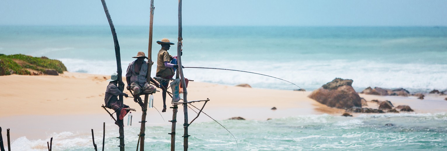 Paalvissers in Sri Lanka