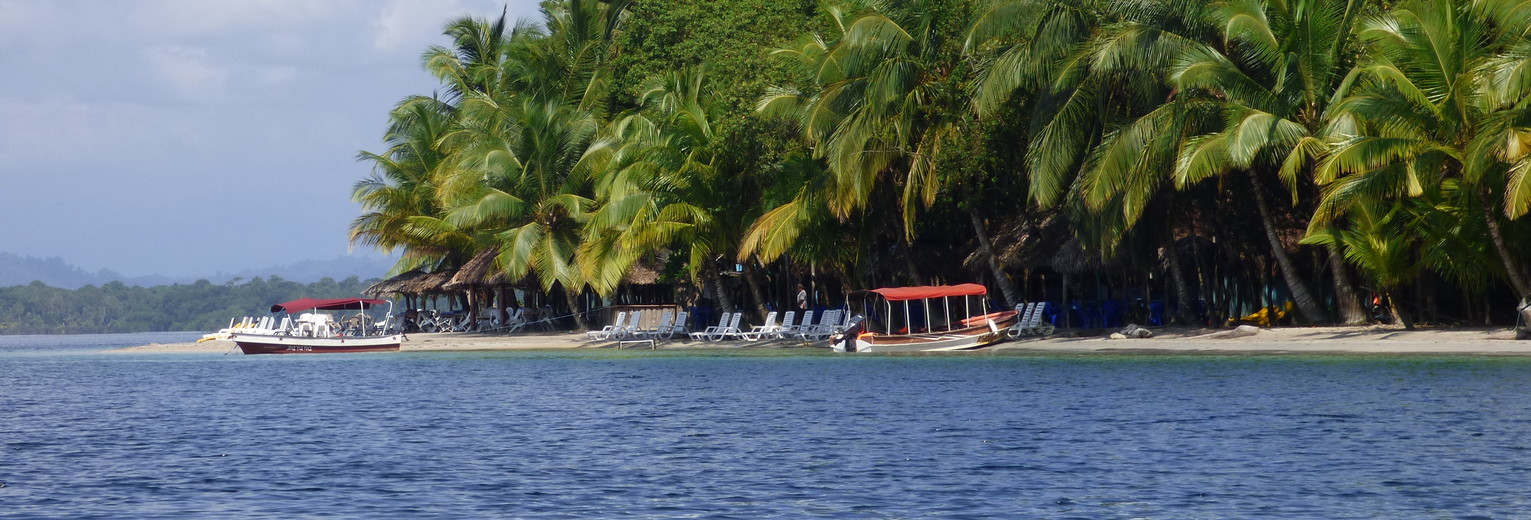 d029a06c-abab-4ee8-a2db-dd14e21654cb