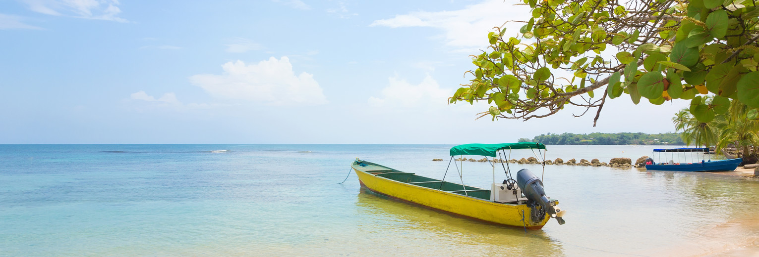 769a18d2-abca-4713-99ee-e340b23c68e1