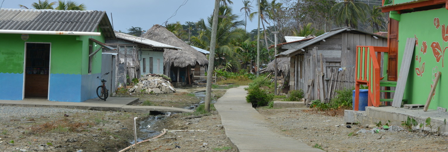 79ad06e8-cf81-4a88-9a22-c601c627f520