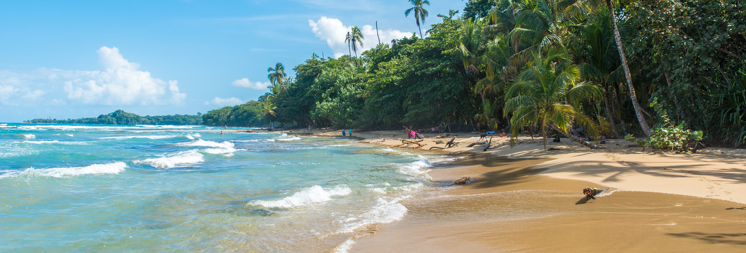 Het zandstrand in de omgeving van Puerto Viejo de Talamanca - Costa Rica