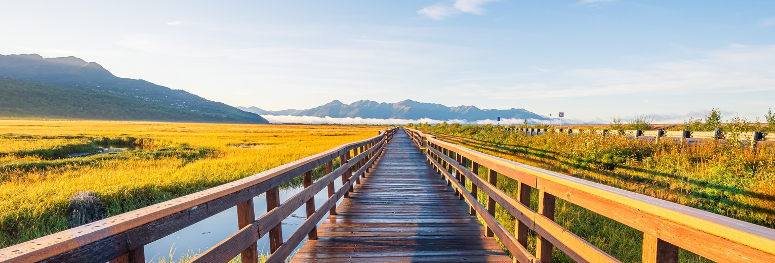 Natuurgebied bij Anchorage, Alaska, Amerika