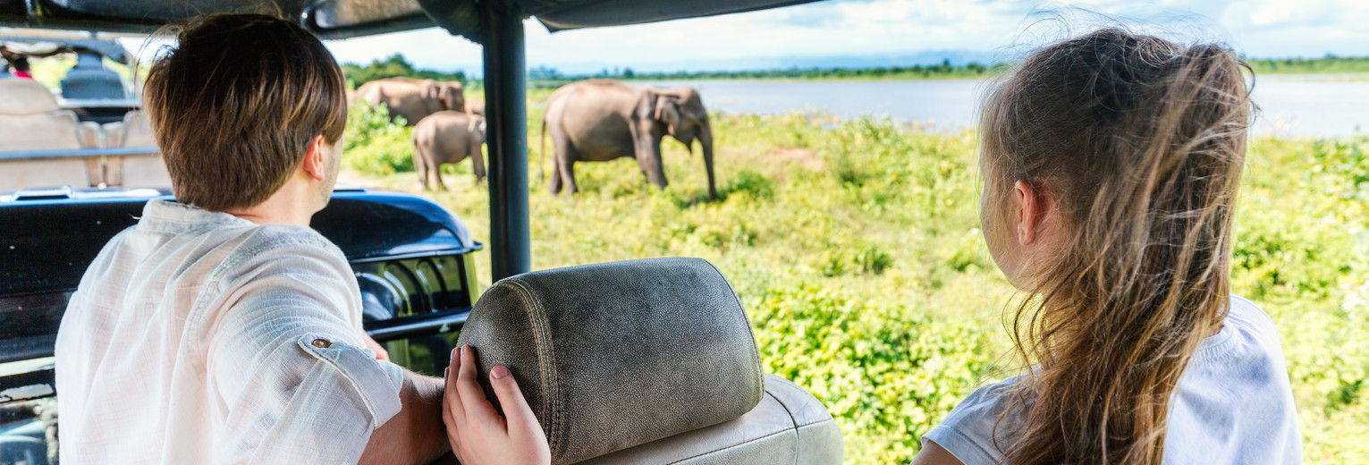 Olifanten spotten in Sri Lanka
